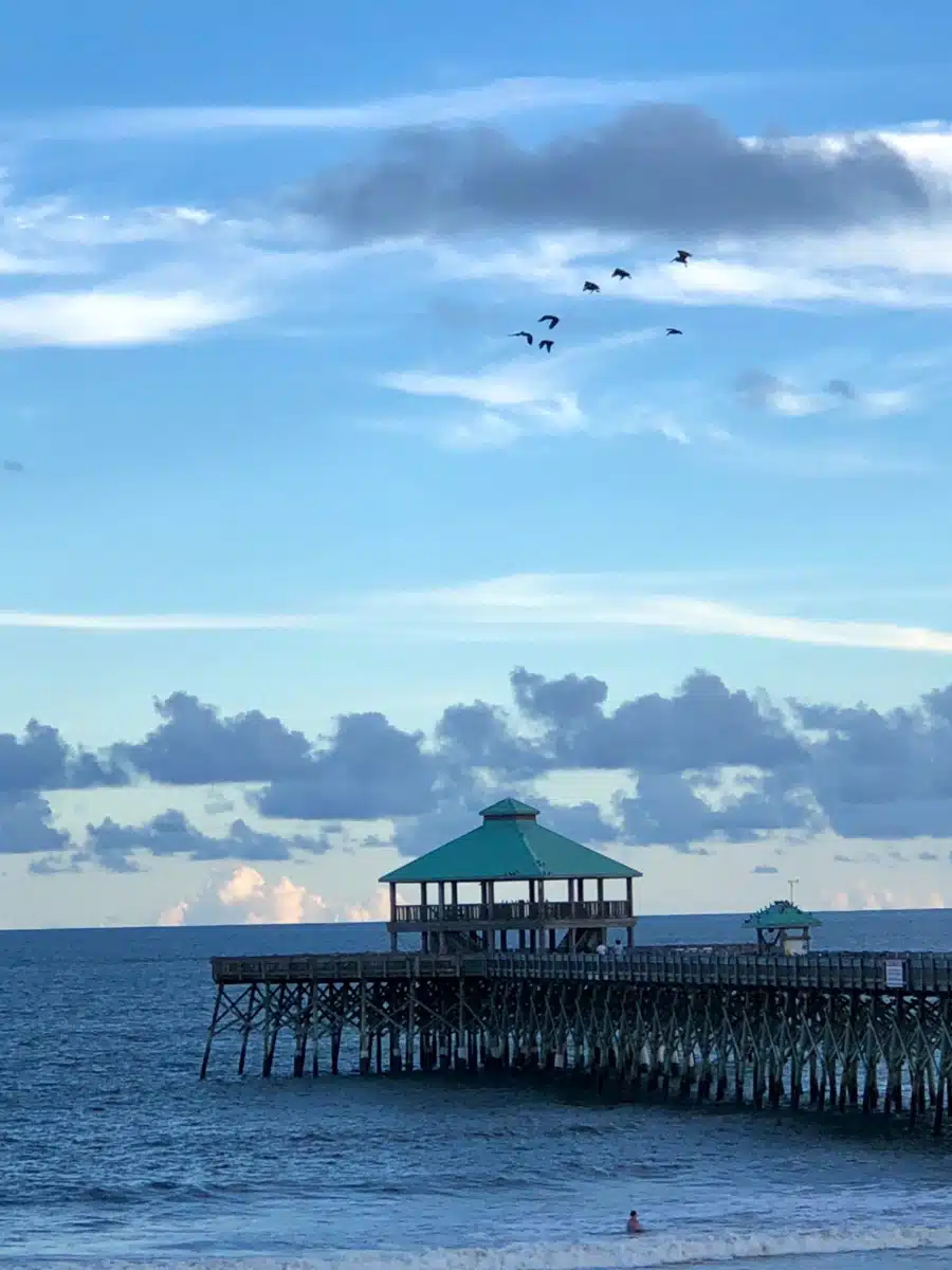 Acorn Counseling and Mediation Ltd - Preview