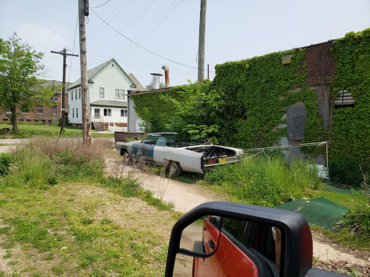 All Well Being Services - Preview