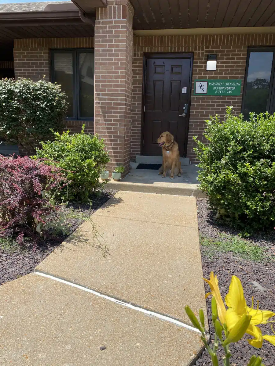 Assessment and Counseling Solutions - Hero Image