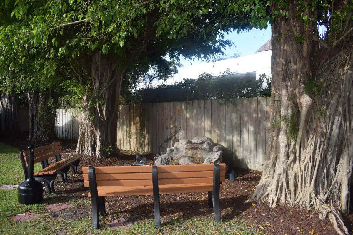 Banyan Boca - Preview