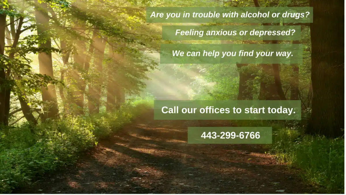 Bergand Group - Hero Image