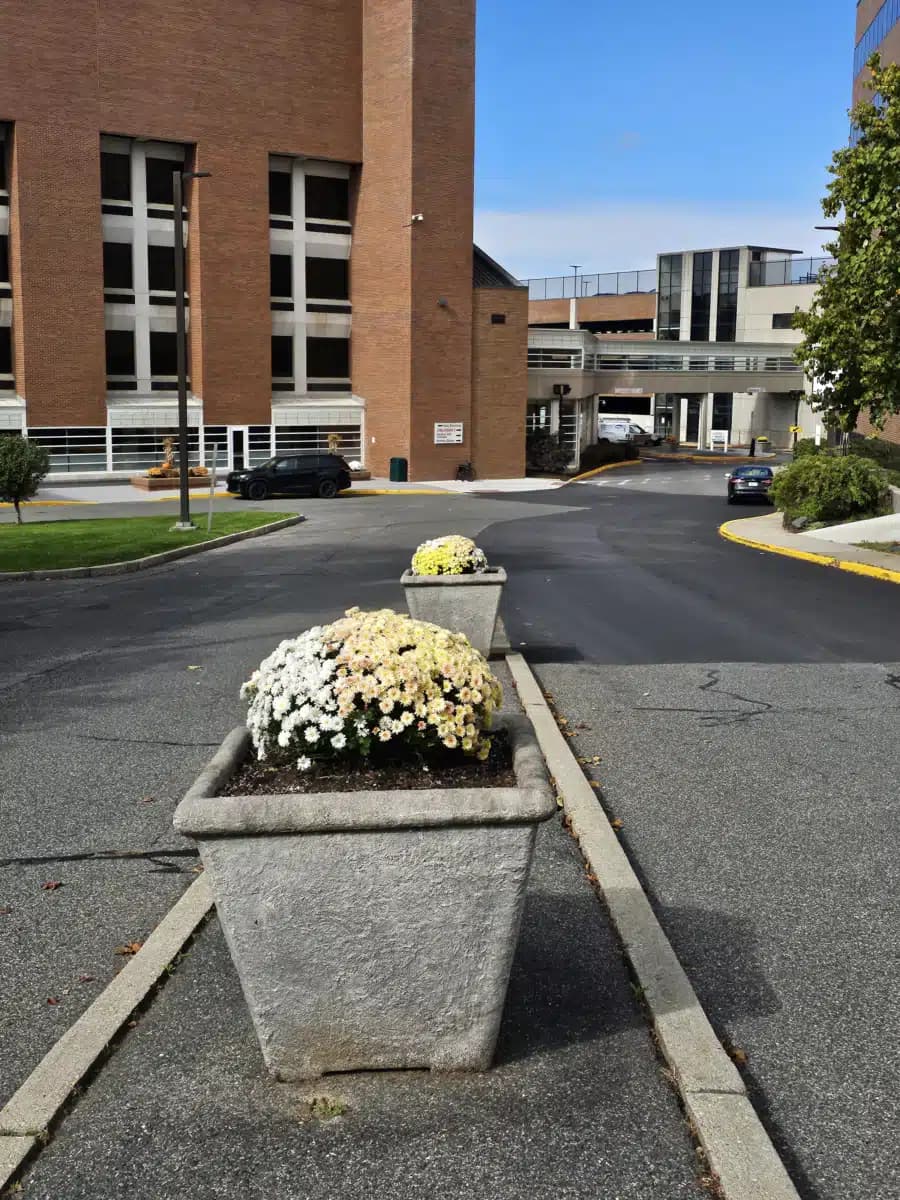 Berkshire Medical Center - Hero Image