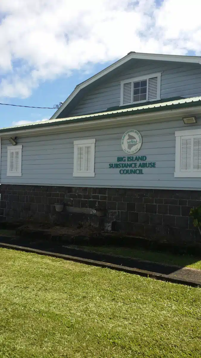 Big Island Substance Abuse Council - Preview