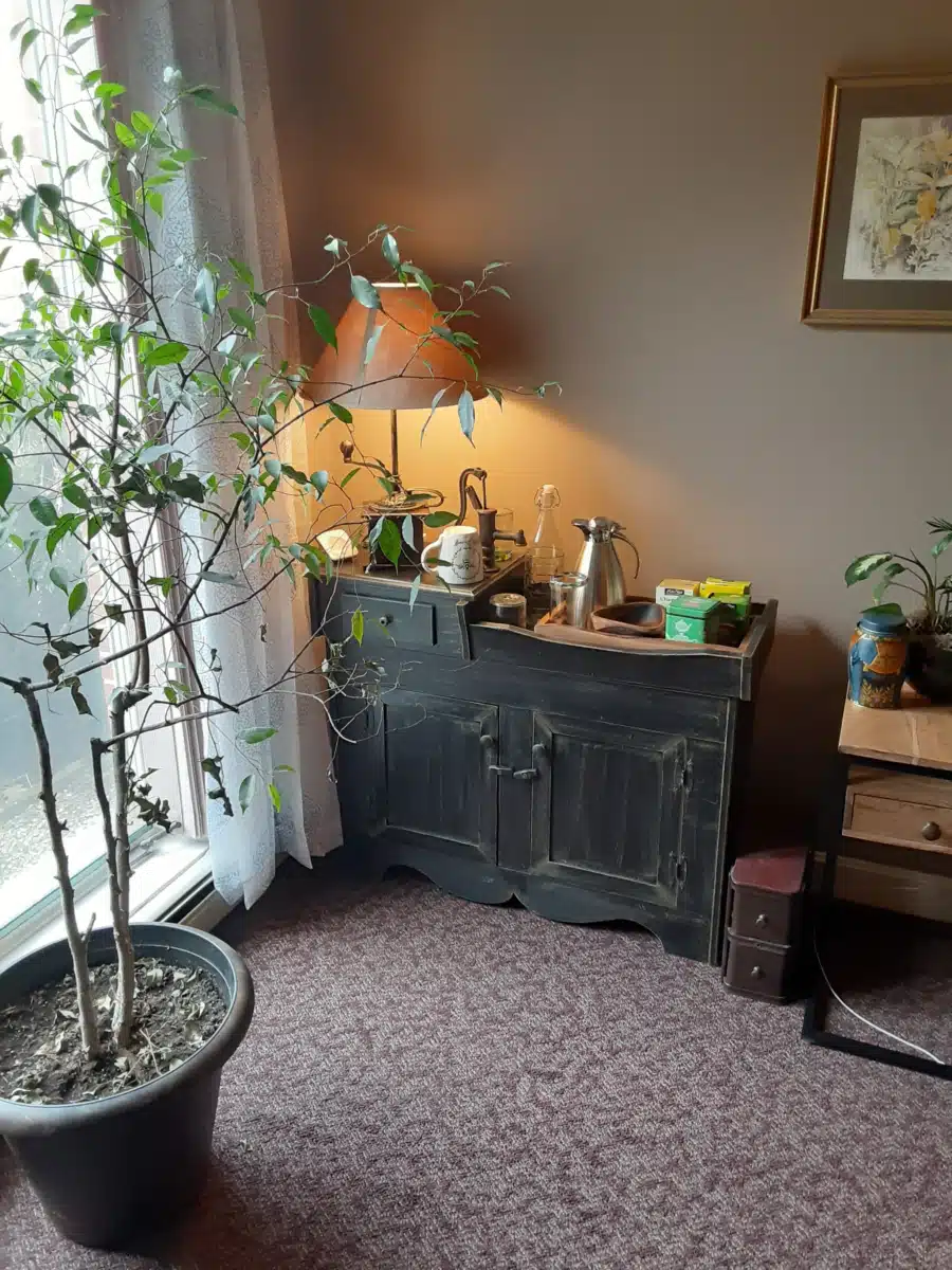 Blue Heron Neurofeedback and - Preview