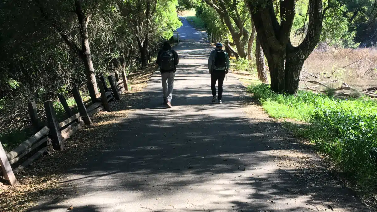 Blue Ridge Counseling Center PA - Preview