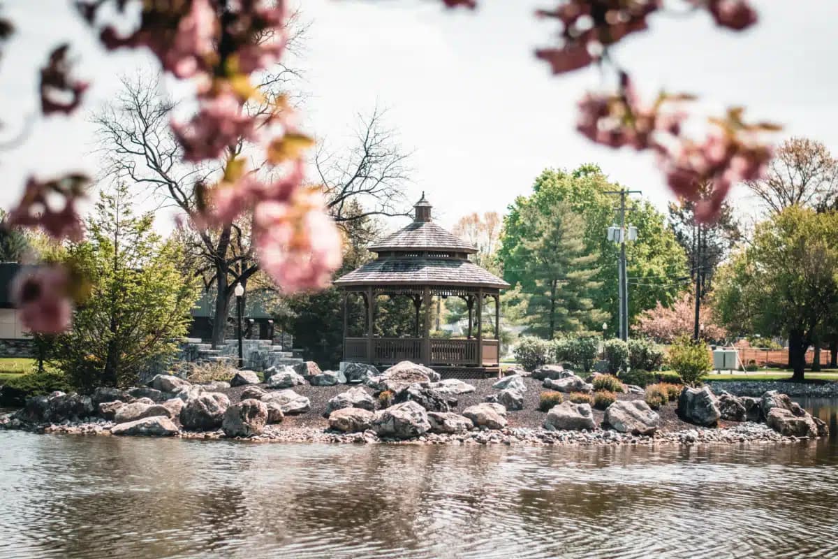 Blueprints For Addiction Recovery Inc - Hero Image