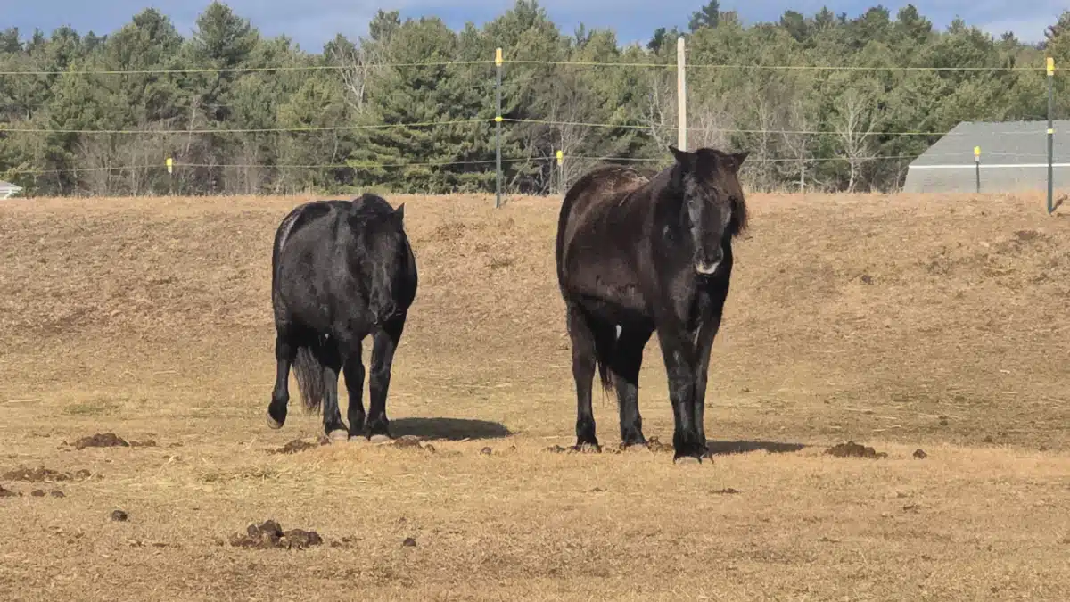 Carl E Dahl House at Evergreen Grove - Hero Image