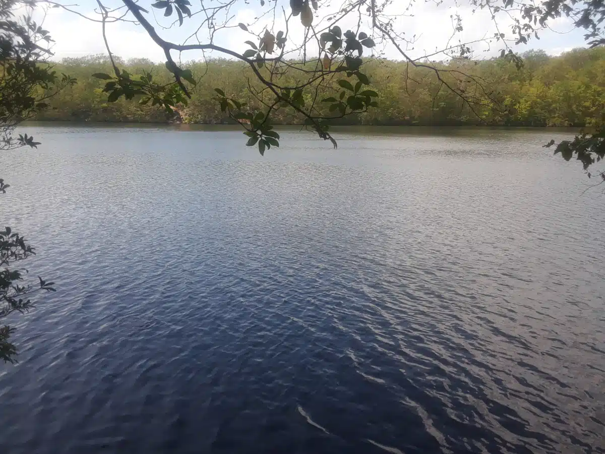 Connecticut Valley Hospital - Hero Image