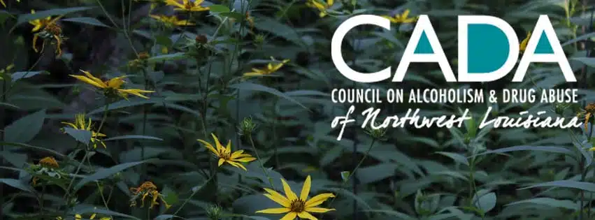 Council on Alcoholism and DA of - Hero Image