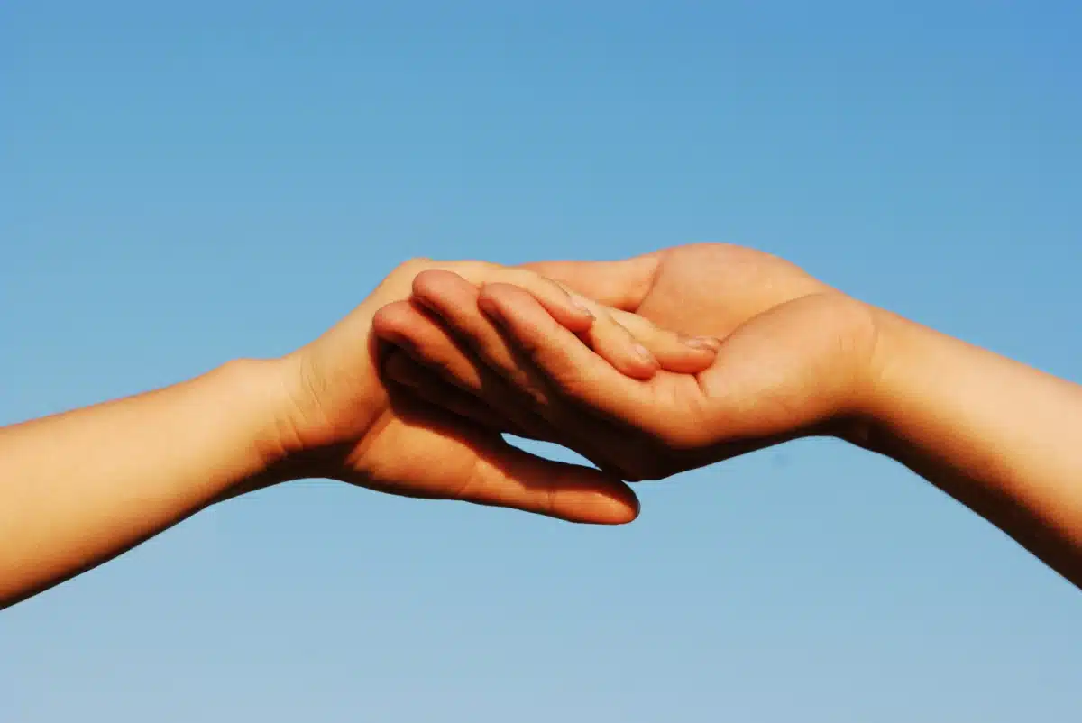 Counseling and Recovery Services - Preview