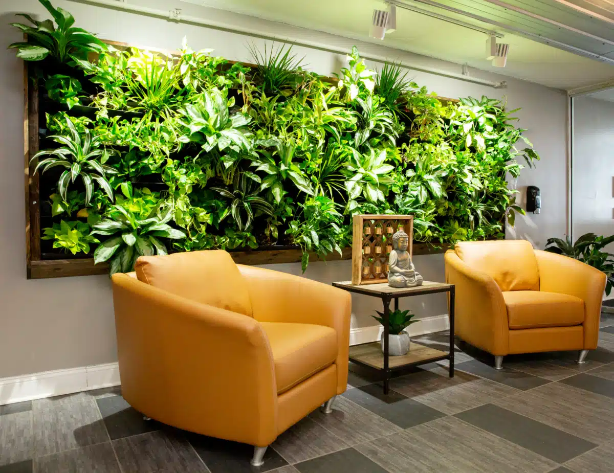 DreamLife Recovery LLC - Hero Image