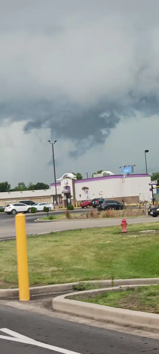 Egyptian Public and Mental Health Dept - Preview