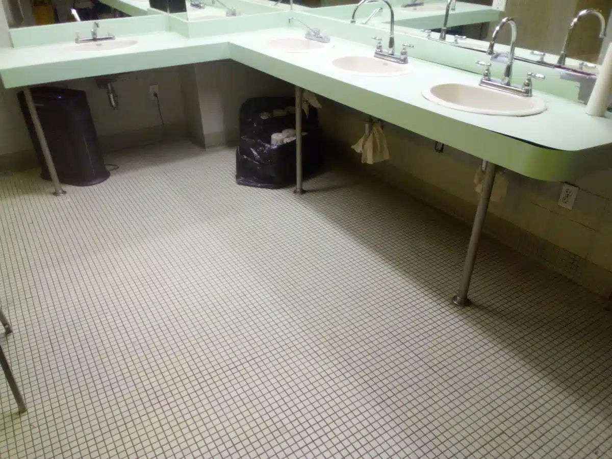 Elmcor Youth and Adult Activities Inc - Hero Image