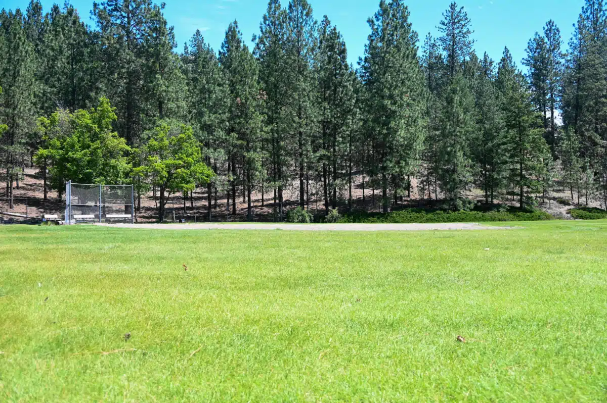 Excelsior Wellness Center - Hero Image