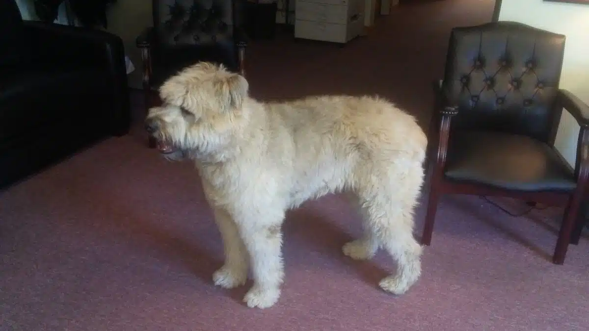 Family Intervention Center Inc - Hero Image