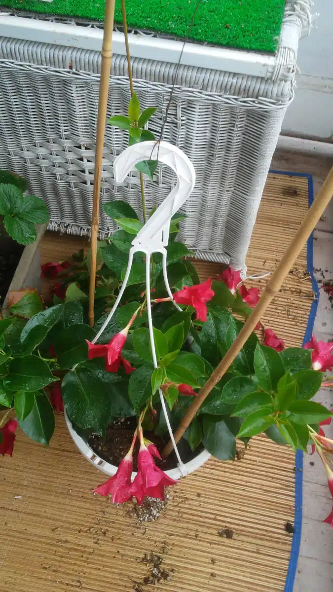 Family Services and Childrens - Preview