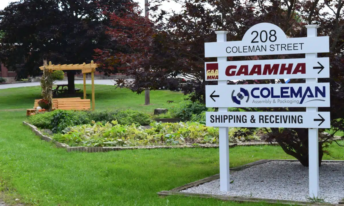 GAAMHA Inc - Preview