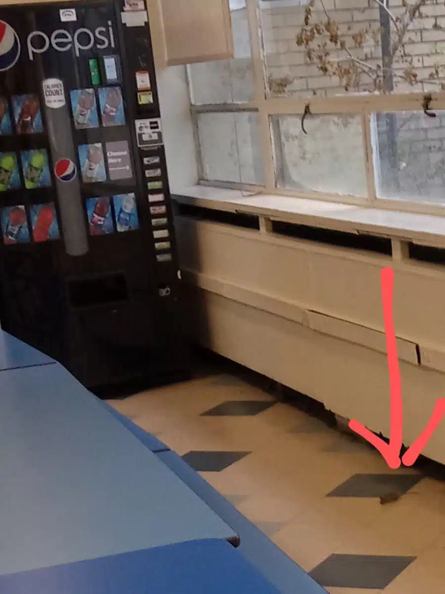 Gaudenzia DRC Inc - Hero Image