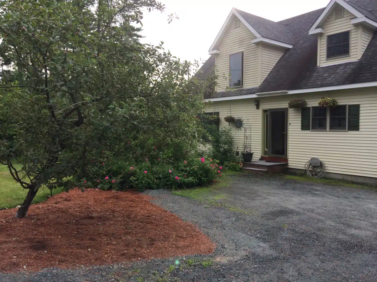 HALO Educational Systems - Hero Image