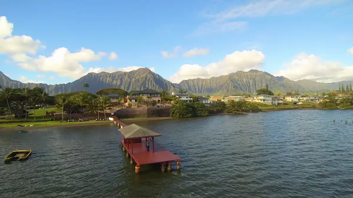 Habilitat Inc - Preview