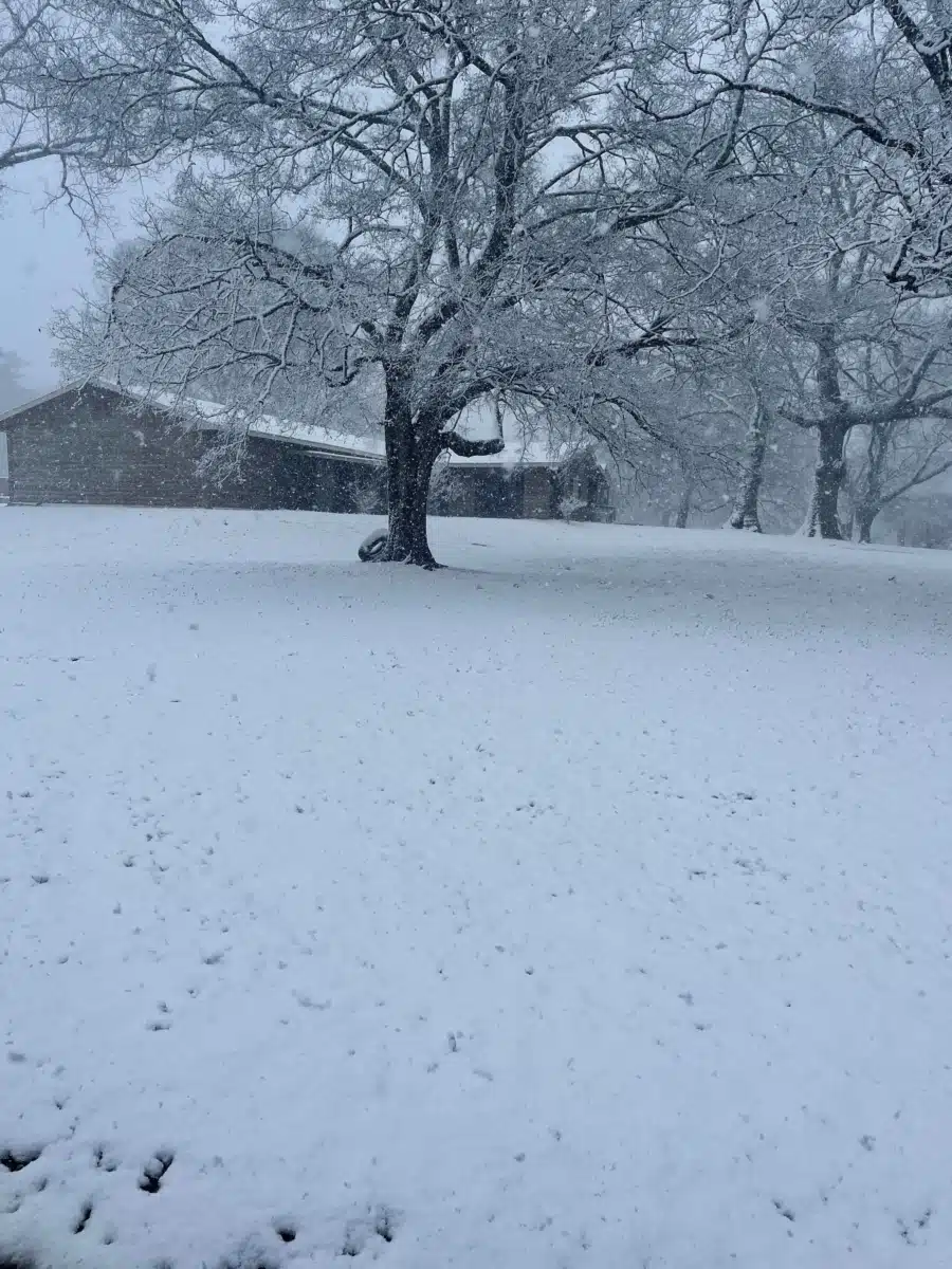 Hollow Creek Treatment Center LLC - Preview