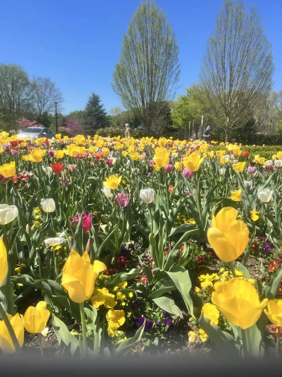 Hope Rising Residential - Hero Image