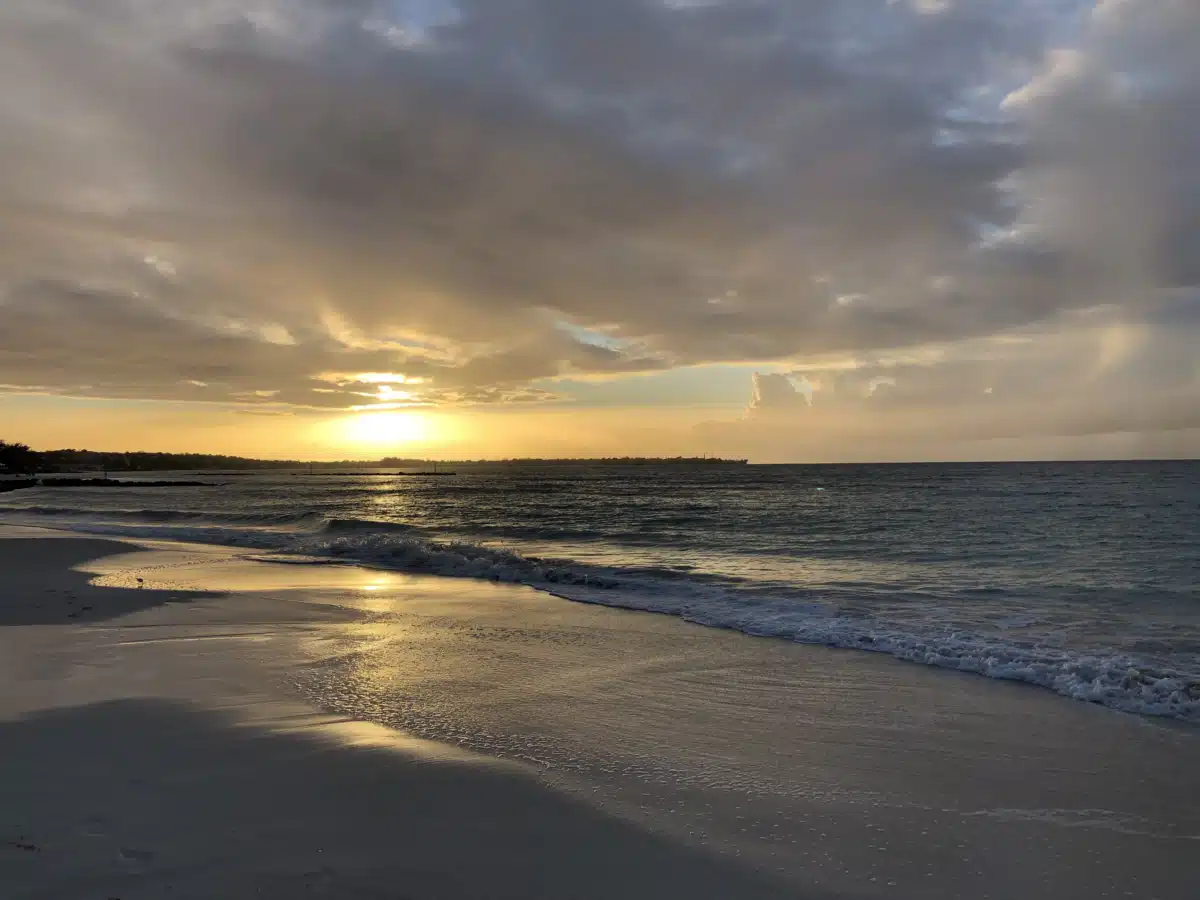 Horizon Behavioral Health PLLC - Preview