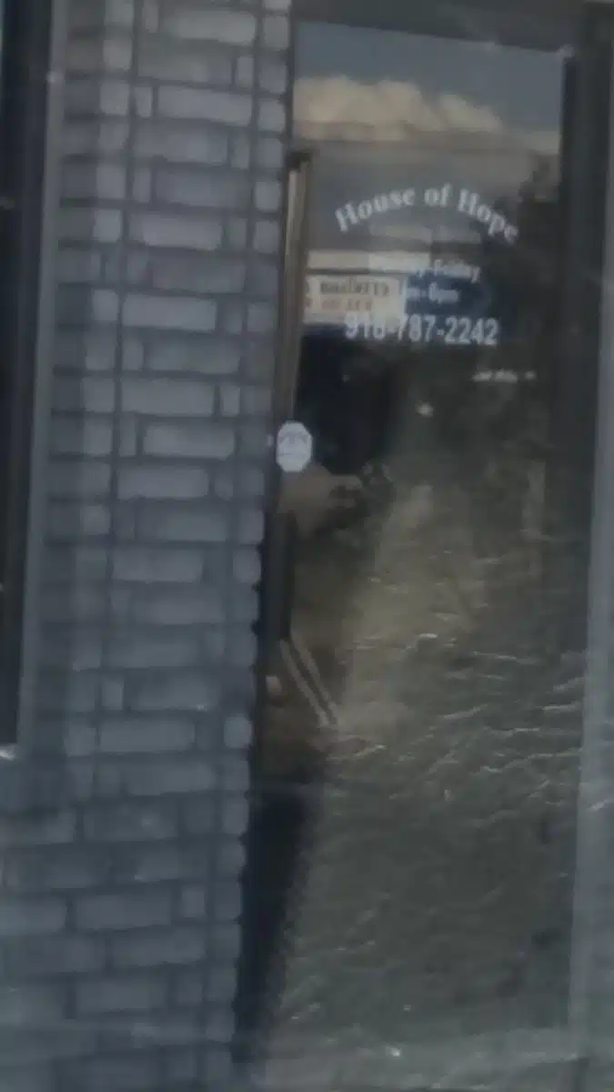 House of Hope Inc - Preview