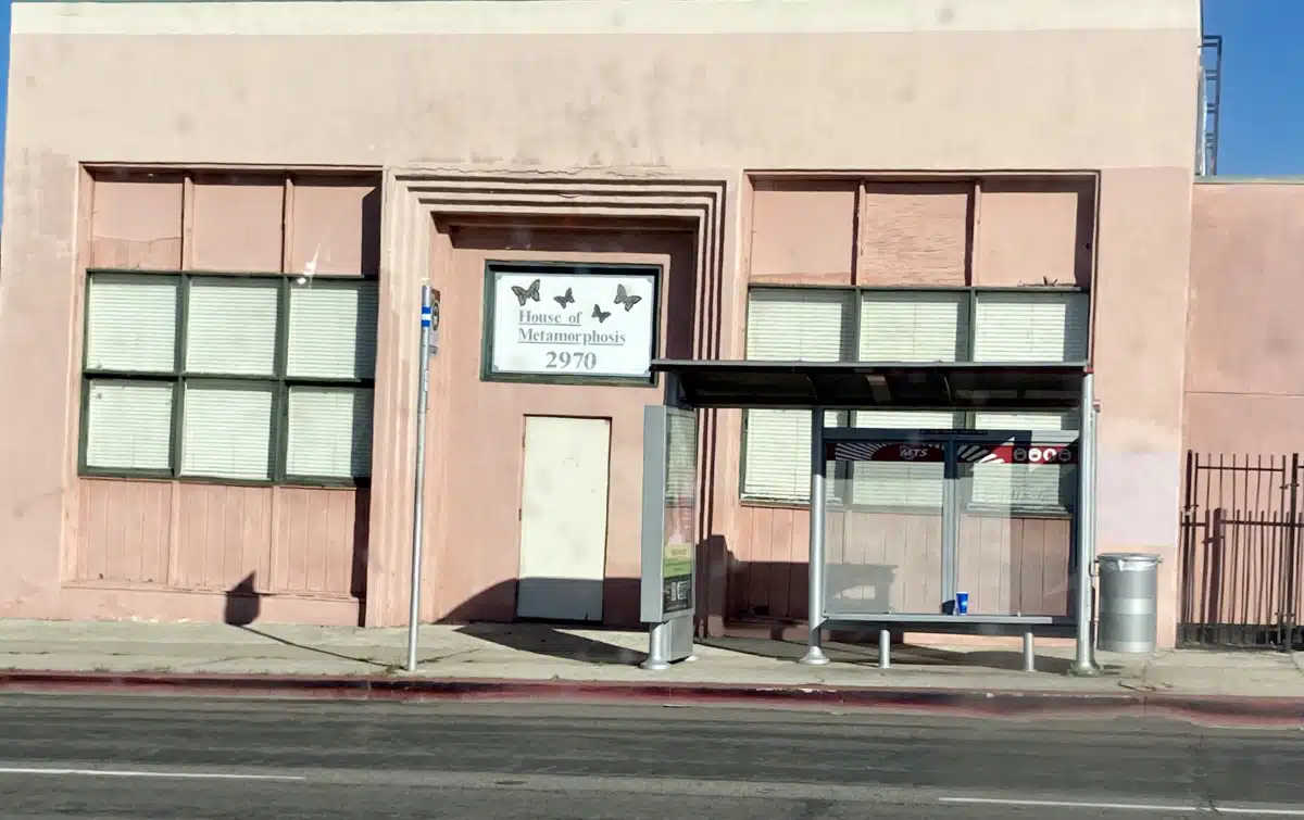 House of Metamorphosis - Hero Image