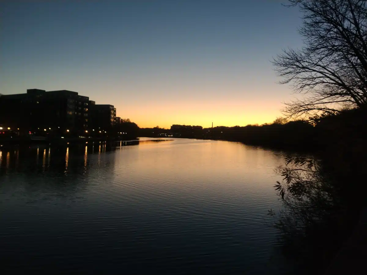 Hurley House - Preview