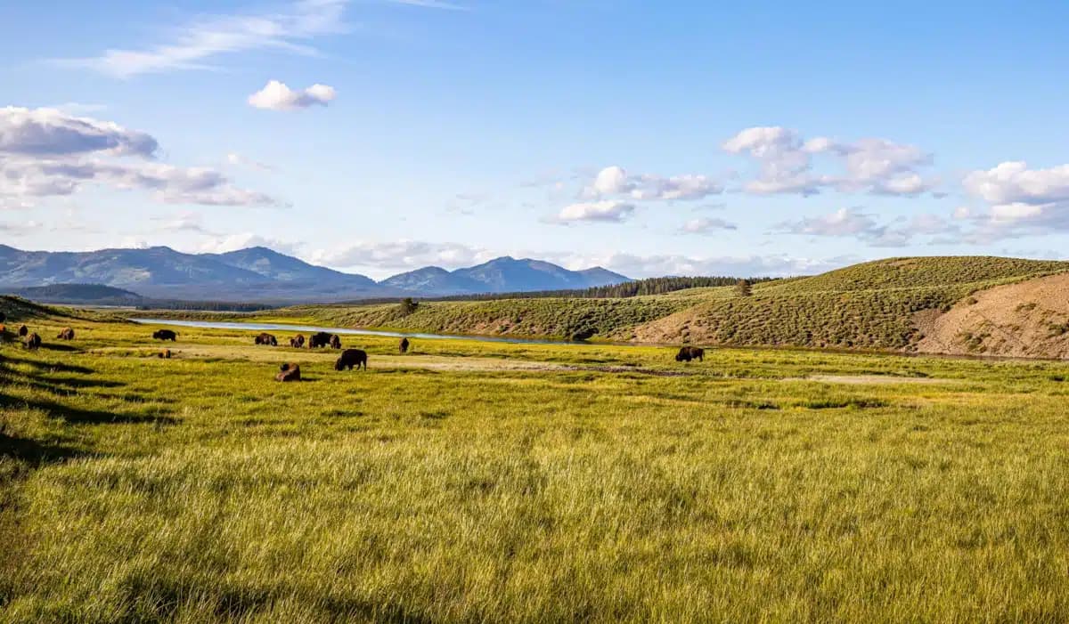 Indian Family Health Clinic - Hero Image