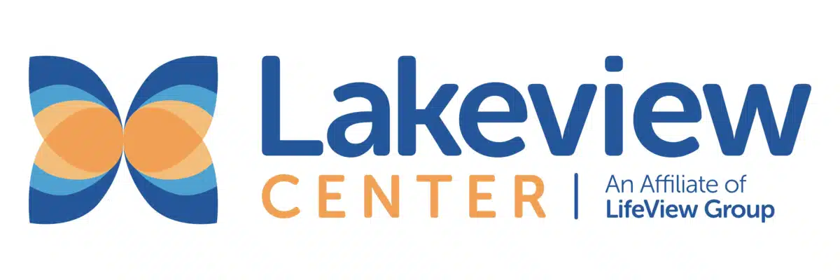 Lakeview Center Inc - Hero Image
