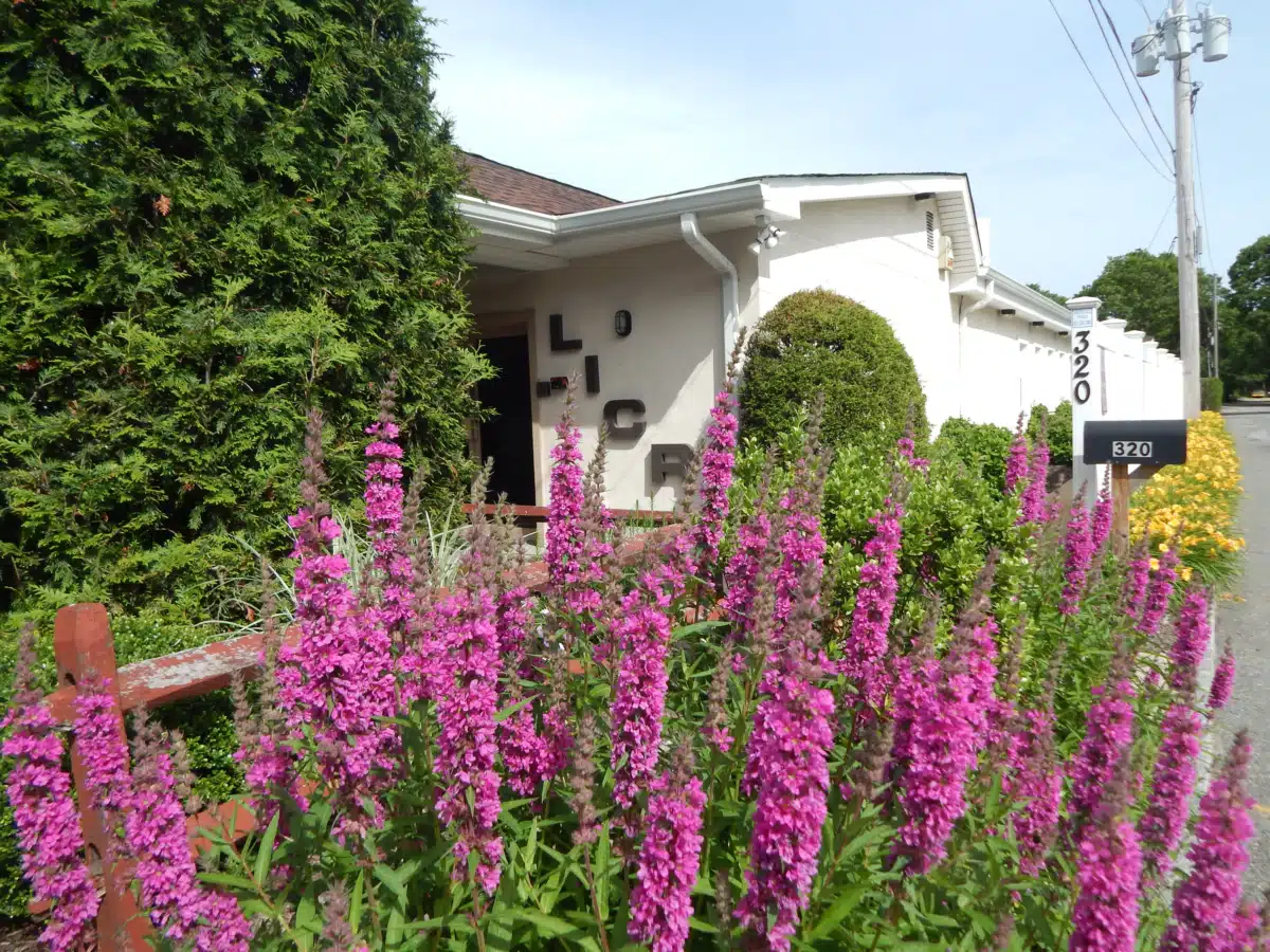 Long Island Center for Recovery Inc - Hero Image