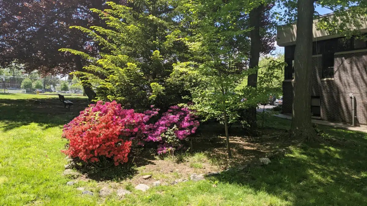 MH Assoc of Westchester Co Inc - Preview