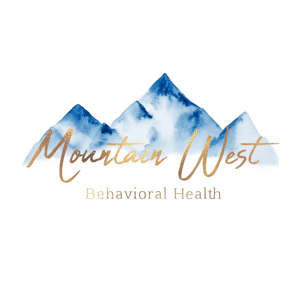 Mountain West Behavioral Health - Preview