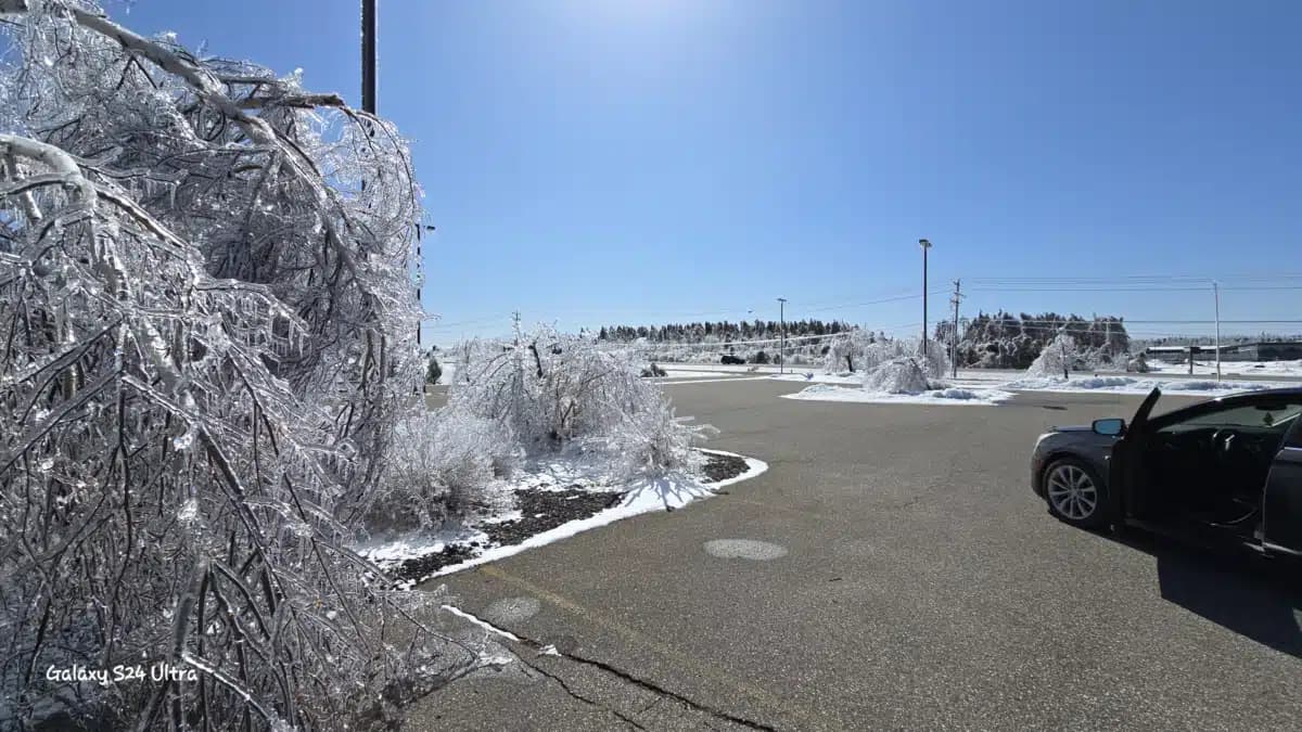 NMSAS Recovery Center - Hero Image