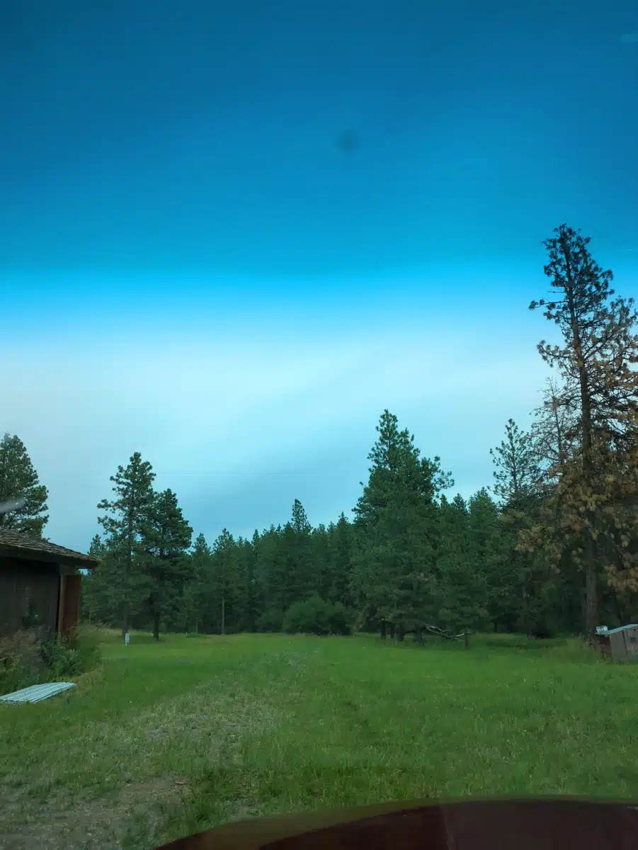 New Beginnings Counseling and - Preview