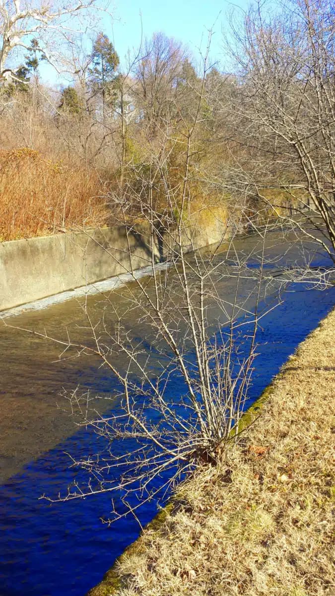 North West Essex Community - Hero Image