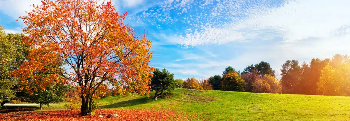 Northwestern Counseling and - Hero Image