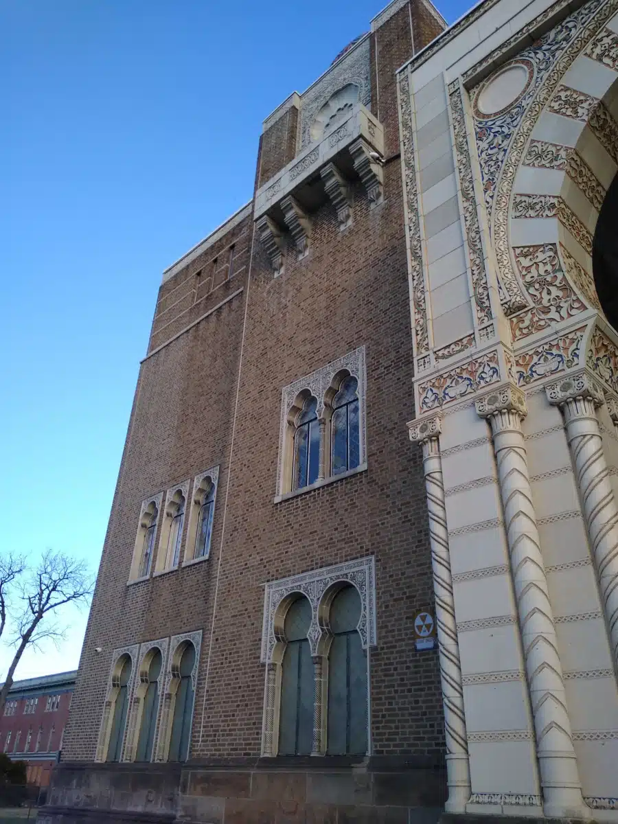 Project Free - Hero Image