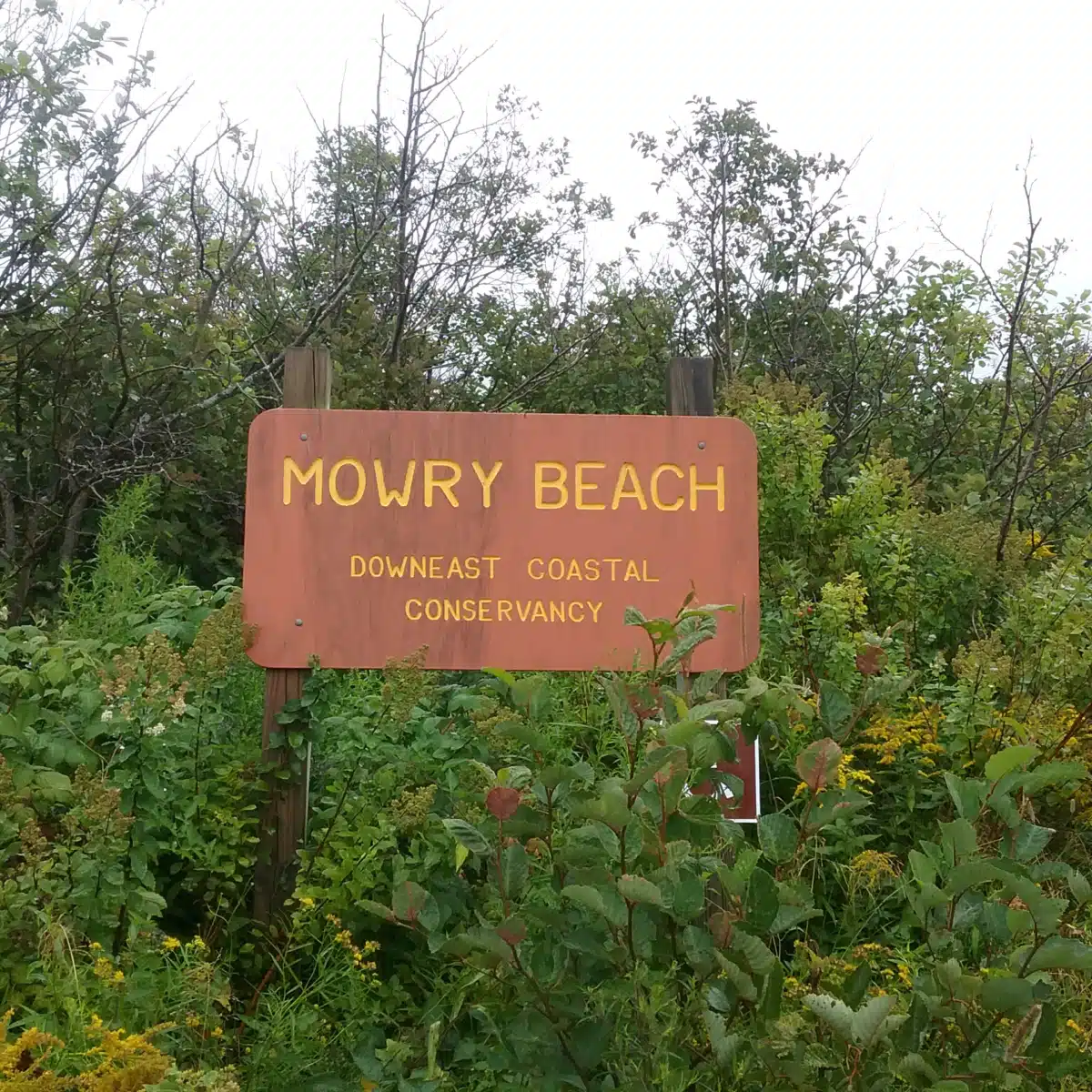 Regional Medical Center at Lubec - Hero Image