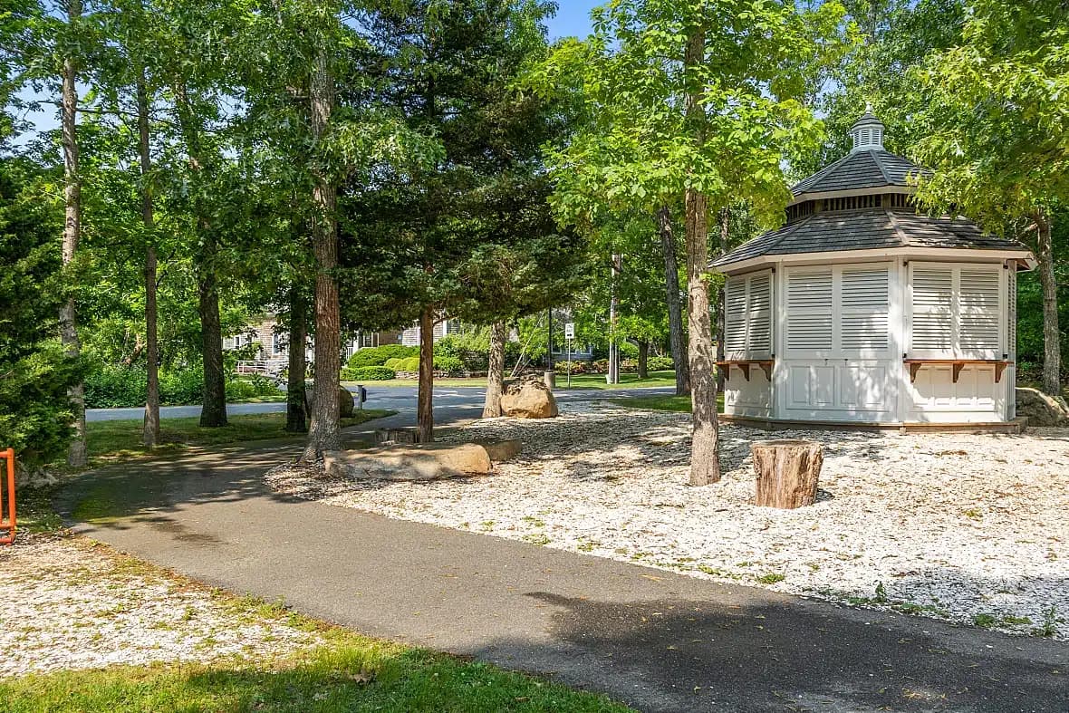 Relief Recovery Center - Preview