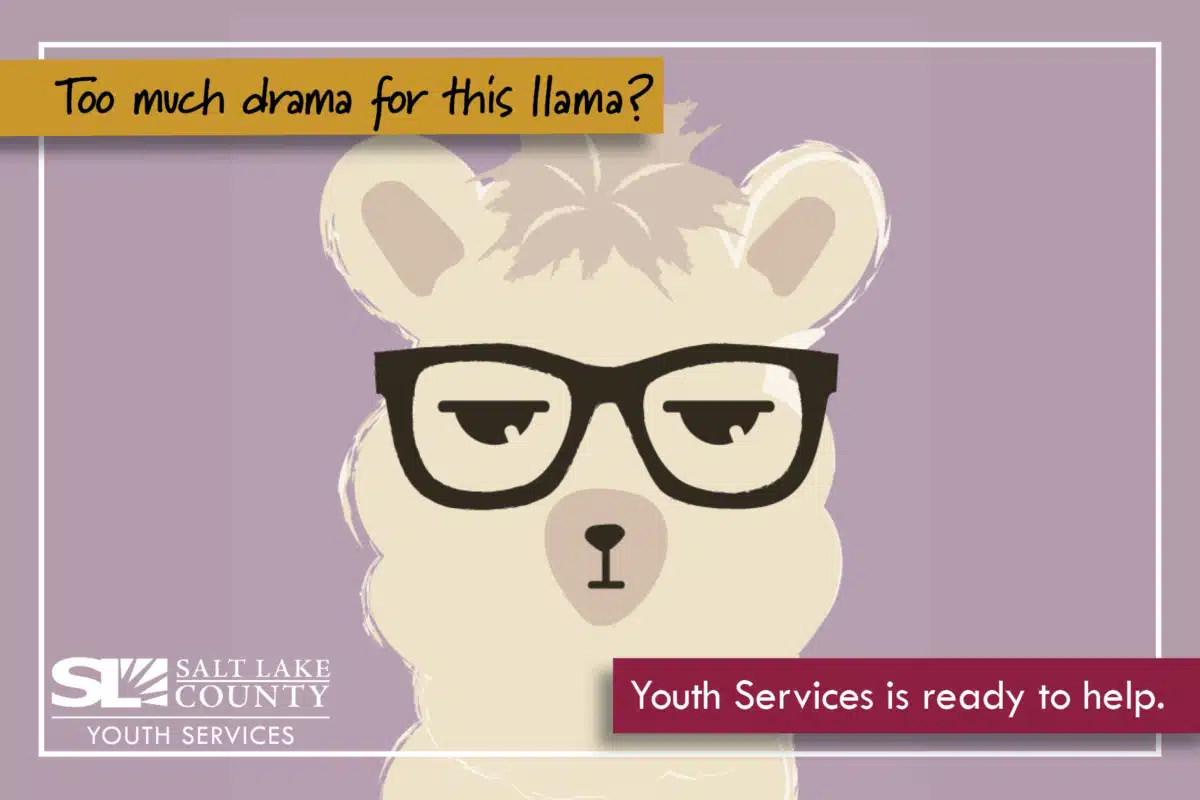 Salt Lake County Youth Services - Preview