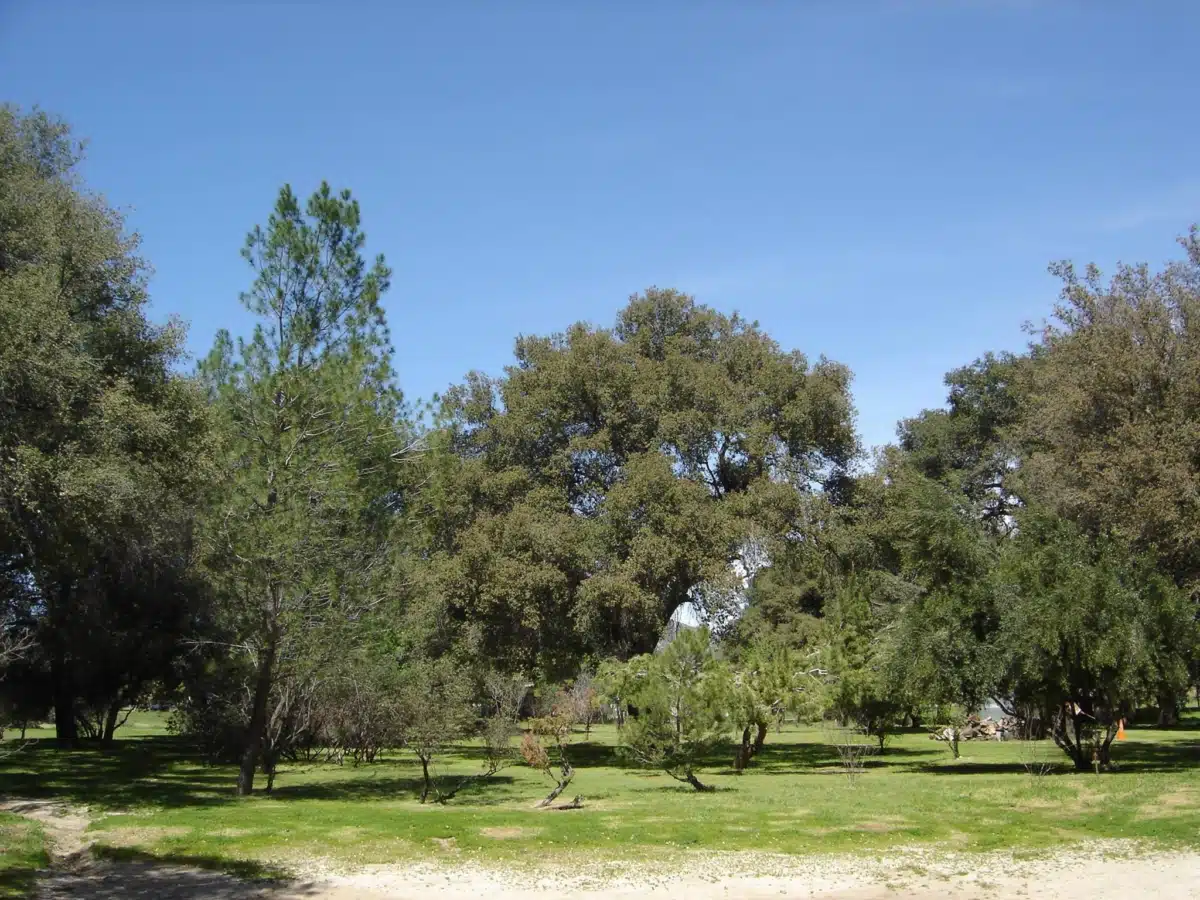 San Diego Freedom Ranch Inc - Hero Image