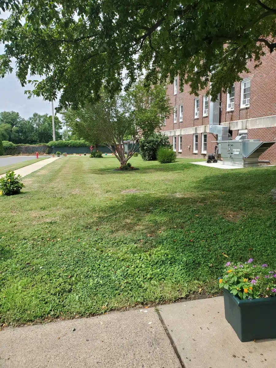 Self Help Movement Inc - Hero Image