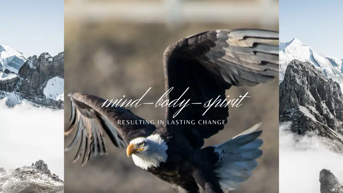 Set Free Alaska - Preview