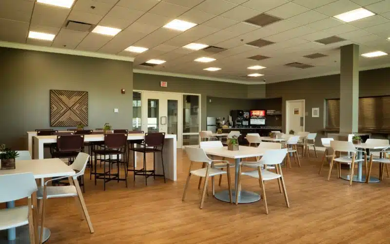 Silver Maple Recovery - Hero Image