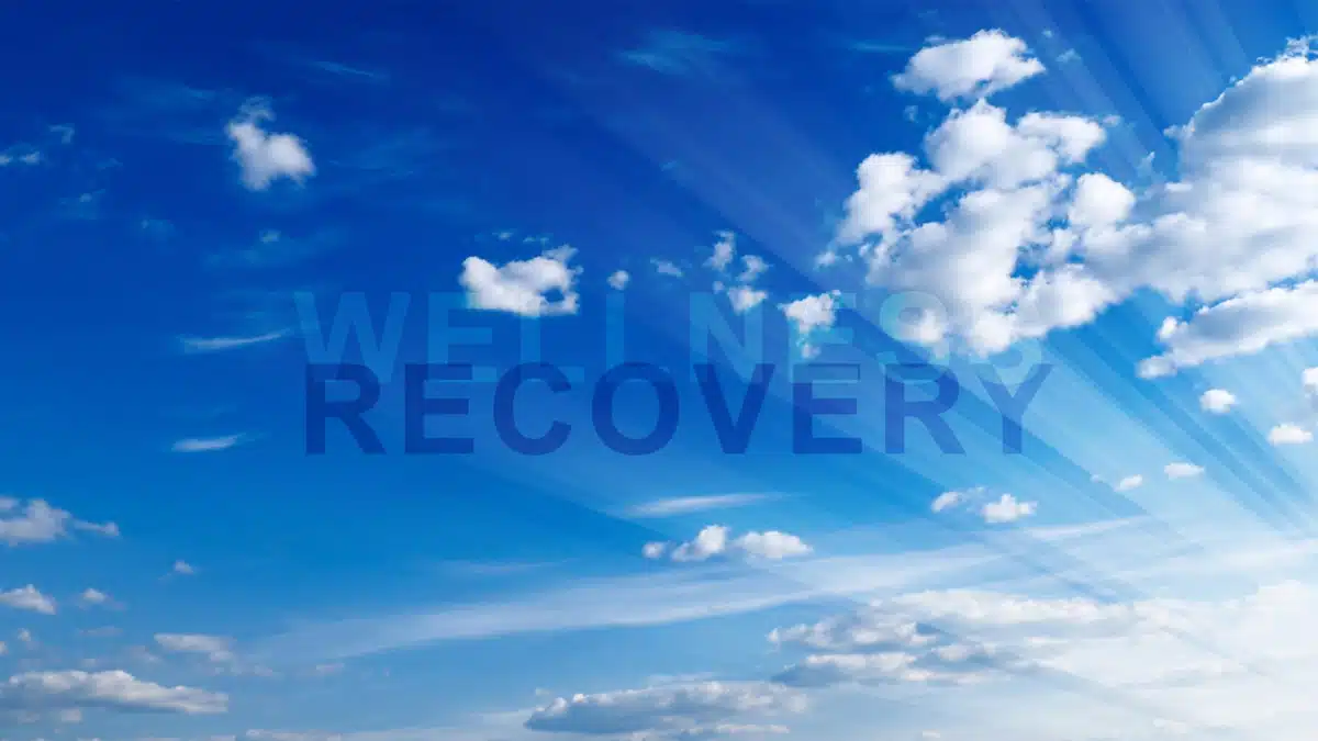 Sinnissippi Centers Inc - Preview