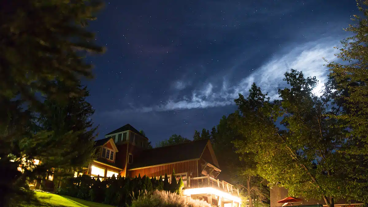 Skywood Recovery - Hero Image