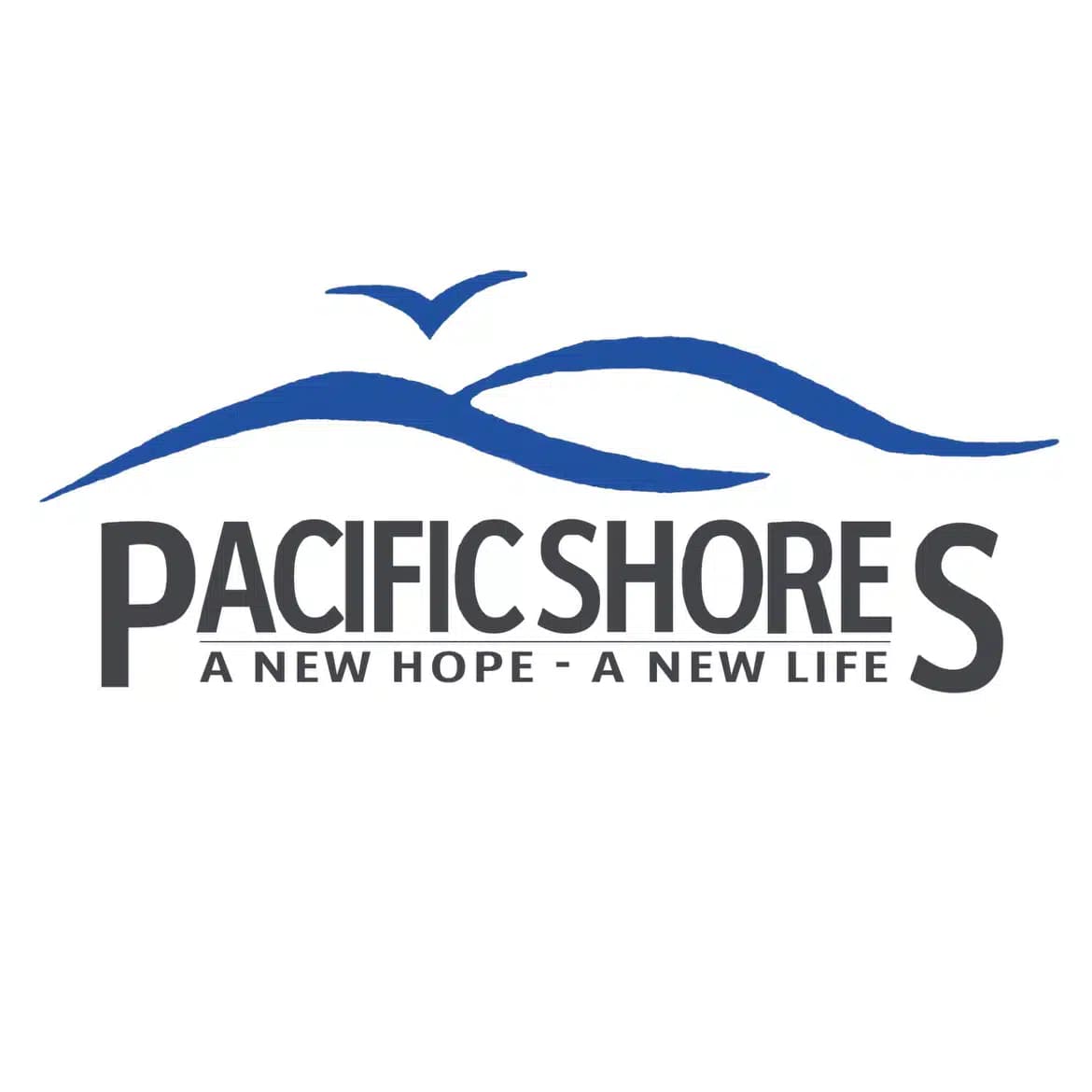 Sober First Recovery LLC - Preview